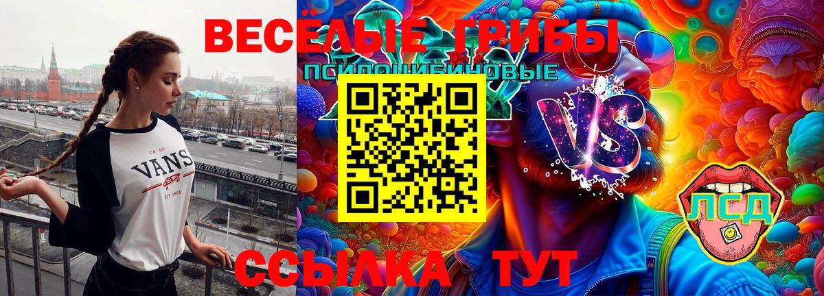 Первоуральск  Псилоцибиновые грибы Cubensis  Вход с VPN 