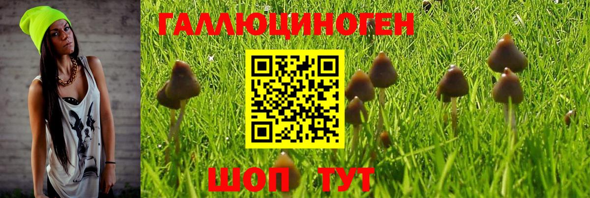 Псилоцибиновые грибы ЛСД Первоуральск